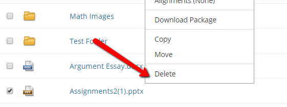 Scholar Delete File From Content Collection